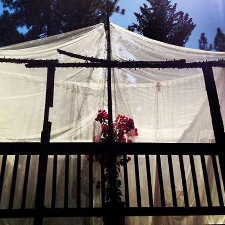 The Red Rooster Lodge Султервілл Екстер'єр фото