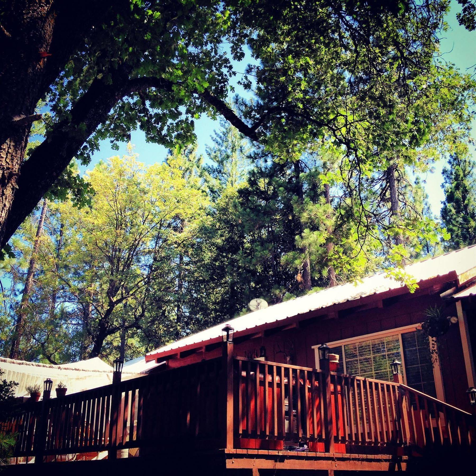 The Red Rooster Lodge Султервілл Екстер'єр фото