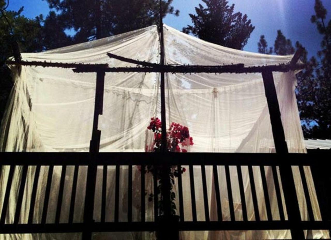 The Red Rooster Lodge Султервілл Екстер'єр фото